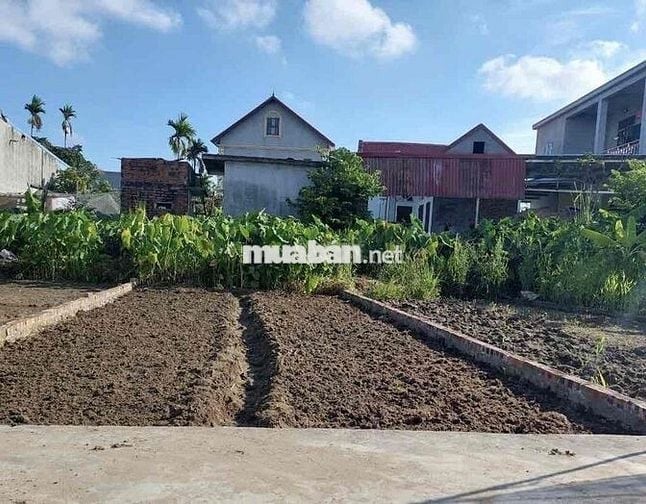 Đất 60m2 HXH 3,5m Văn Xá, Quốc Tuấn, An Dương 820 triệu