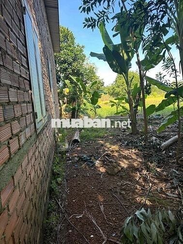 CHÍNH CHỦ BÁN 4543 m đất , có 200m thổ cư tỉnh bình phước