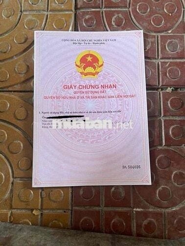 ✨ CẦN BÁN GẤP 2 MIẾNG ĐẤT VƯỜN CHỒNG CÂY LÂU NĂM– GIÁ TỐT – CÁI RĂNG,