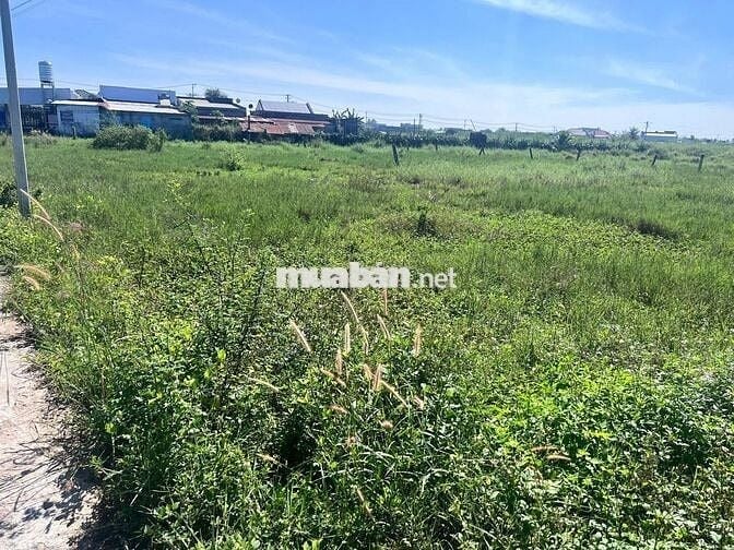 Lô đất Biệt Thự Mini Cho Vợ Chồng Trẻ Cần Xây Nhà Trung Tâm Hàm Thắng