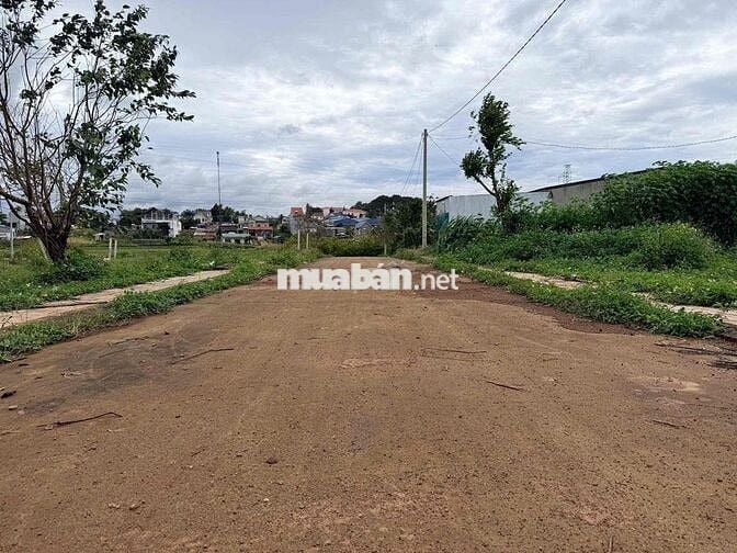 BÁN ĐẤT PHÚ HỘI ĐỨC TRỌNG LÂM ĐỒNG