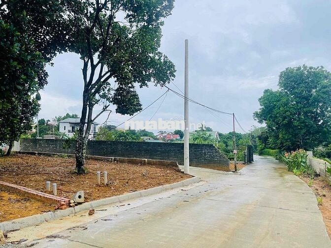 CC CẦN BÁN 15M YÊN BÀI MẶT TIỀN HƠN 7m