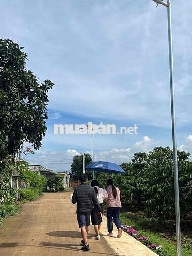 Bán đất chính chủ tại xã Bình Thạnh - Lâm Đồng có thổ cư giá rẻ