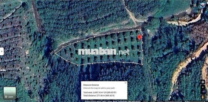 Bán Đất tại DT721, Đạ Kho, Đạ Tẻh, Lâm Đồng, 2.5 tỷ, 3.3ha