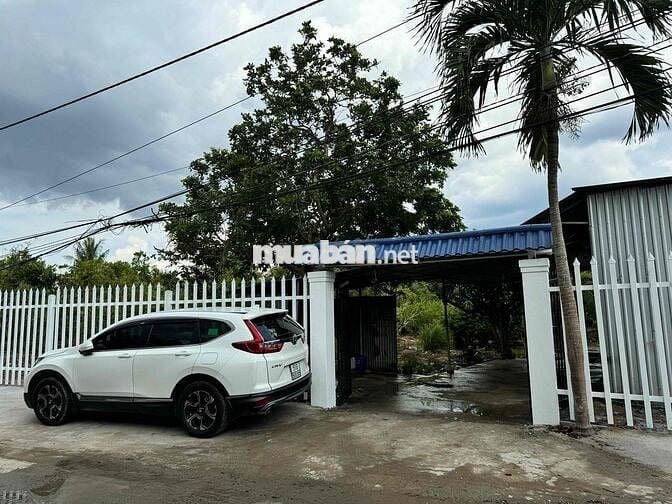 cho thuê nhà đất vườn 3.600m2 phường Phú Khương (Tp Bến Tre cũ)