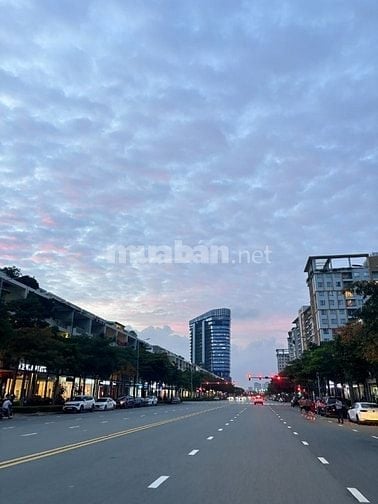 Tuyển tài xế ô tô làm việc tại quận 2