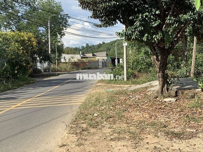 BÁN ĐẤT MẶT TIỀN PHÚ LẬP NAM CÁT TIÊN (ĐÃ CHUYỂN FULL HÔNG