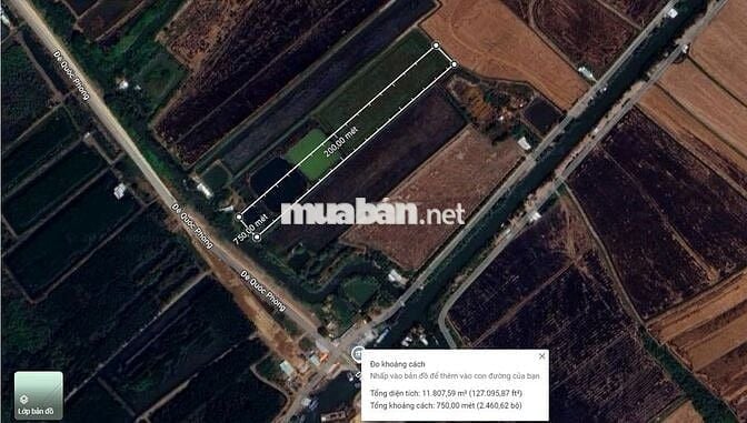 Bán 11 công đất mặt tiền đê quốc phòng, xã Lình Huỳnh, huyện Hòn Đất