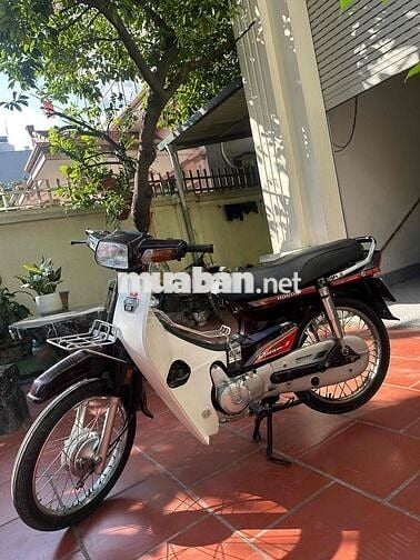 Dream việt máy chất