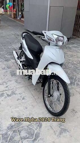 Cần bán wave a đki 2023 mẫu 224 chính chủ