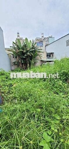 ĐẤT SÁT GO BIG C DĨ AN - LÀNG ĐẠI HỌC GẦN 160 M2 CHỈ 4 TỶ