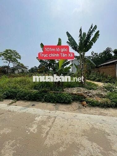 🔥 TÂN XÃ – HÒA LẠC / LÔ GÓC SÁT CNC – GIÁ ĐẸP - DÂN Ở ĐÔNG