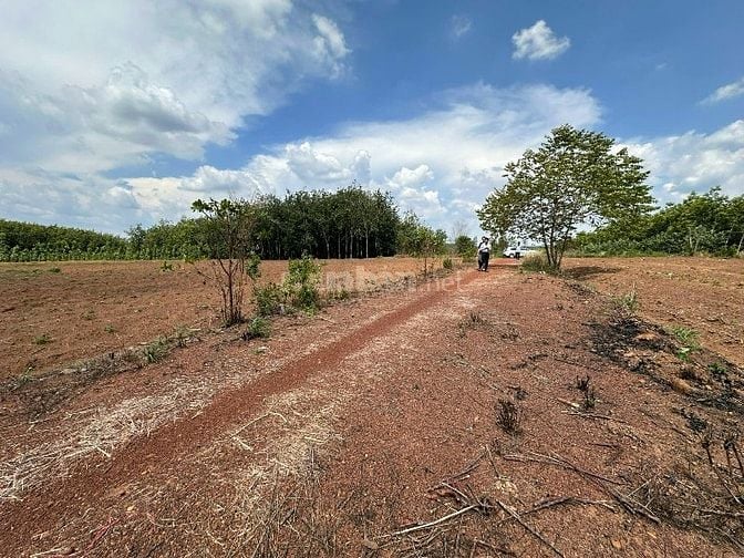 CÔNG TY ĐẤU GIÁ HỢP DANH MINH PHÁP THÔNG BÁO ĐẤU GIÁ TÀI SẢN