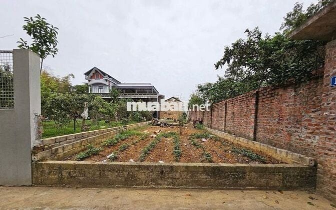 Đón sóng đấu giá.3,4 tỷ có 100m2 Tân Xã Full Thổ. Cách ĐH FPT chỉ 2km.