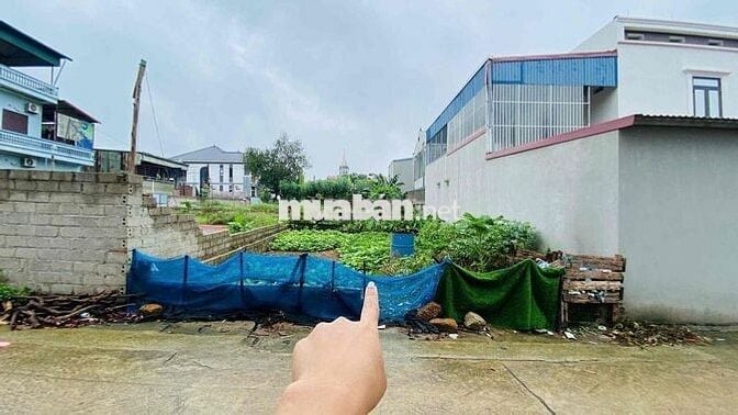 Đất sổ đỏ Hà Nội 134m sát đại học FPT và CNC Hòa Lạc