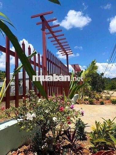 Đất thổ cư Lâm Đồng gần Sài Gòn giaa 3,95t