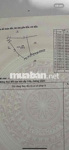 CẦN BÁN 8 SÀO ĐẤT NÔNG NGHIỆP  CÓ NHÀ THỔ CƯ  HỆ THỐNG SUỐI & HỒ RIÊNG