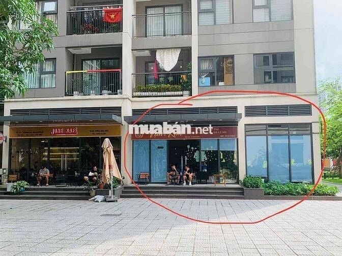 Bán nhanh căn GÓC chân đế S1.10 Ocean Park 1  đang cho thuê 20tr/th