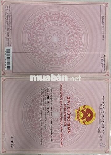 ĐẤT SỔ ĐỎ 75M2 CẦN BÁN GẤP ĐƯỜNG TỈNH LỘ 10 ĐỨC HÒA ĐÔNG, ĐỨC HÒA