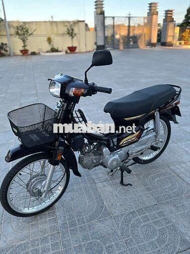 Dream thái bán hoặc giao lưu