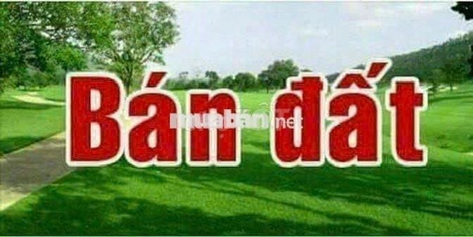 Cần bán gấp Đất thổ cư mặt tiền đường Bàu Rong