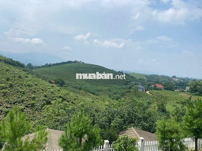 ĐẤT NGHỈ DƯỠNG LƯNG TỰA NÚI, VIEW THOÁNG, 2500M²