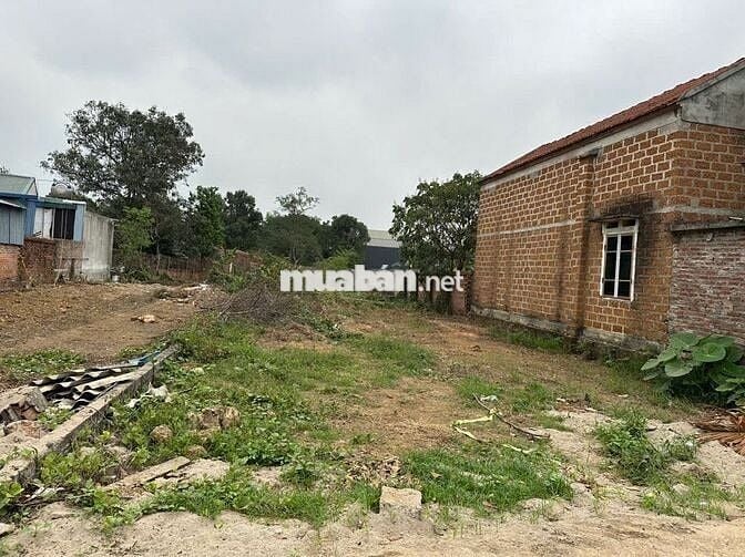 🔥 BÁN GẤP LÔ ĐẤT TRỤC CHÍNH SEN TRÌ – DÒNG TIỀN 30–100TR/THÁNG! 🔥