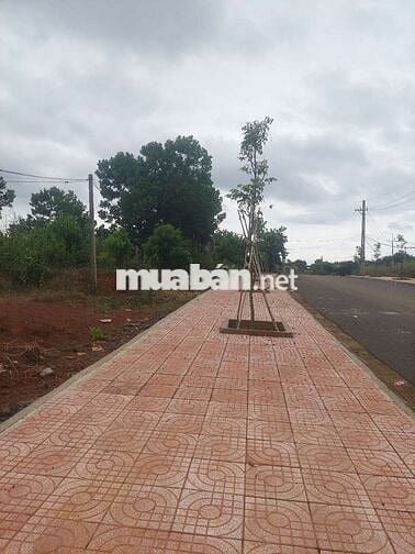 1ha2 đất có 12m mặt đường lê thánh tông phường bắc gia nghĩa giá 4t2