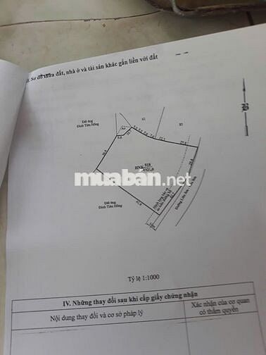 Đất sổ đỏ 4321m2 thôn Liên Sơn 2, xã Phước Vinh (Khánh Hòa)