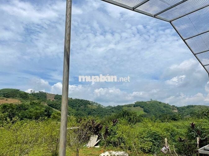 BÁN LÔ ĐẤT VIEW CAO THOÁNG – CÓ SẴN NHÀ SÀN MỚI TẠI KIM BÔI, HÒA BÌNH