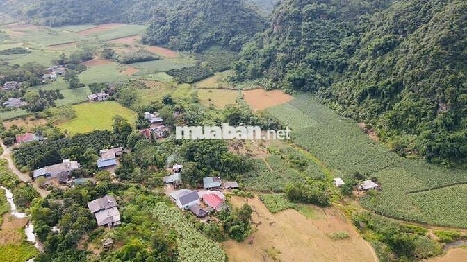 BÁN 1,4HA ĐẤT NGHỈ DƯỠNG CÓ THỔ CƯ TẠI KIM BÔI HOÀ BÌNH SIÊU ĐẸP