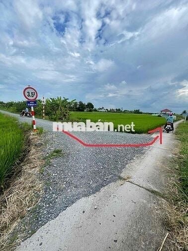 ĐẤT LÚA SỔ HỒNG RIÊNG TẠI GÒ CÔNG TÂY