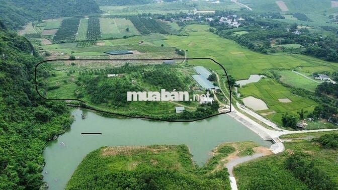 2,9HA BÁM HỒ SÃN TRANG TRẠI LÀM FARM SẠCH SIÊU RẺ TẠI KIM BÔI HOÀ BÌNH