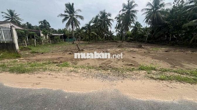 Đất nền 1011m2 cây lâu năm mặt tiền nhựa xã An Ngãi Trung, Ba Tri