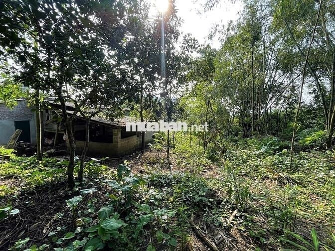 BÁN 2000M BÁM DỰ ÁN SUNGROUP TẠI KIM BÔI HOÀ BÌNH GIÁ ĐẦU TƯ