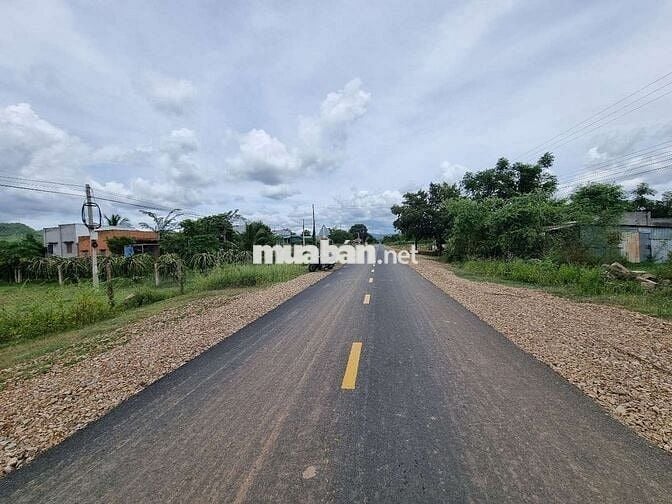 Chính chủ cần bán 2000m2 mặt tiền DT711 có sẵn 500m2 thổ cư