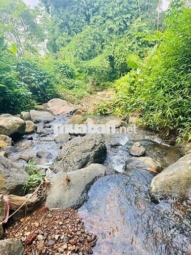 BÁN LÔ ĐẤT NGHỈ DƯỠNG BÊN SUỐI – VĨNH TIẾN, KIM BÔI 1000M GIÁ ĐẦU TƯ