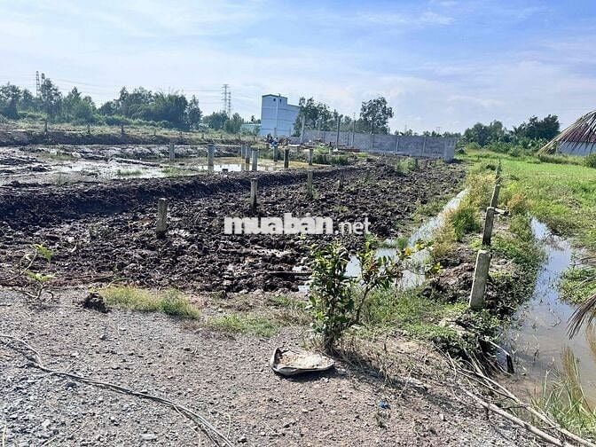 CHÍNH CHỦ CẦN BÁN ĐẤT THỔ CƯ - NGAY SÔNG VÀM CỎ