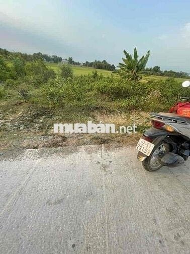 Đất nền 111m2 tại đường ĐT 838, Xã Mỹ Thạnh Bắc, Đức Huệ, Long An, giá