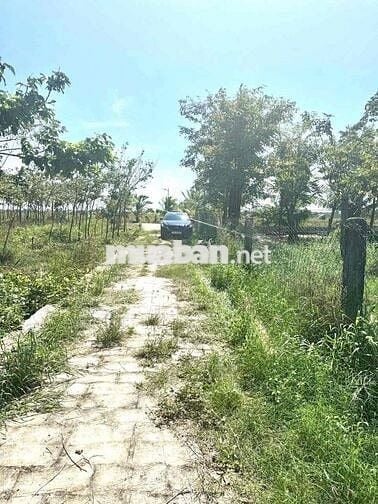 Hai lô đất thổ cư liền kè thích hợp xây nhà vườn, homstay