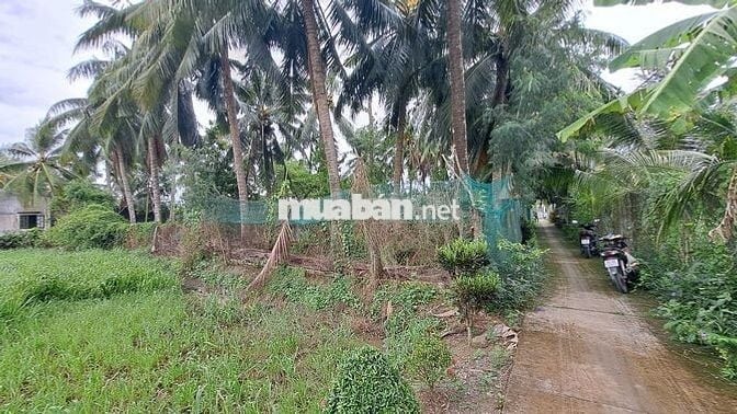 📣 CHÍNH CHỦ BÁN ĐẤT CÓ THỔ CƯ - GIÁ 500 Triệu - CÁCH TP GÒ CÔNG 6KM 🔥