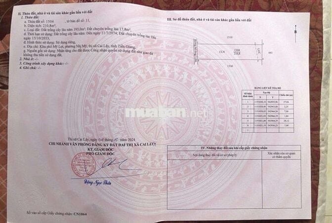 Đất chính chủ đường Mỹ Trang - Nhị Mỹ - Tx. Cai Lậy - Tiềng Giang