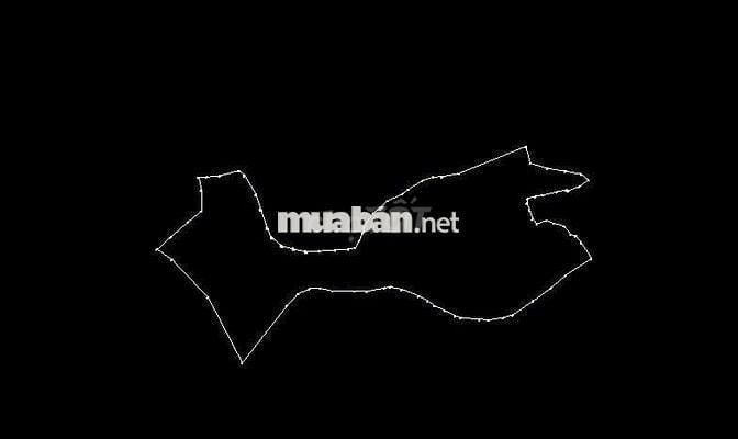 Bán 7ha đất rẫy Ngọc Wang, Đắk Hà, Kon Tum( Quang Ngãi)