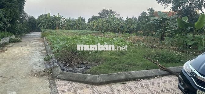 LÔ GÓC,  TRỤC CHÍNH 178,7M2 PHÚ CÁT