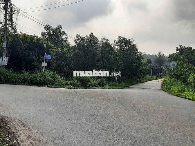 ĐẤT MẶT TIỀN 23M SIÊU ĐẸP–PHƯỜNG TÂN UYÊN,TP.HCM.Giá 1,92 tỷ–200m² ONT