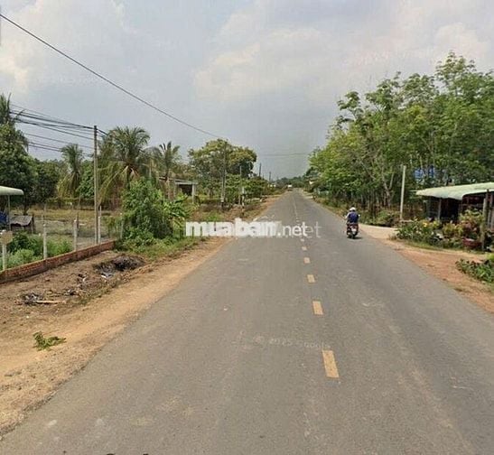 Cần tiền thiện chí bán lô đất 2.9 mẫu tại xã Hòa Thạnh,Châu Thành