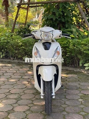 VISION Nguyên Bản 2021 Chất_Bảo Hành 2 Năm