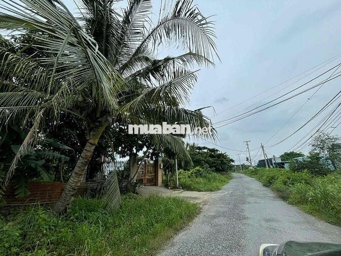 bán đất mặt tiền  ấp 3-4  mặt tiền sông hiệp phước nhà bè