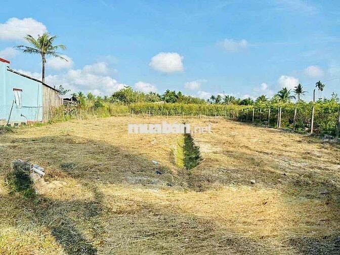 ĐẦU TƯ DÒNG TIỀN • TRỒNG CÂY GIỐNG • XE HƠI 7 CHỖ • KẾ QLO 57