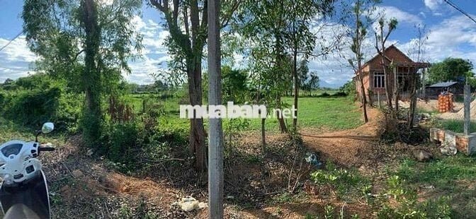 Bán 942m2 đất mặt tiền đường Gò Sắn Vườn Đào